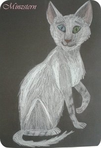 2012-11-06 19.41.10.jpg