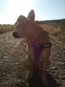 2012-09-16 16.54.46.jpg