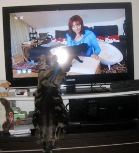 3863643730303734.jpg 3863643730303734.jpg