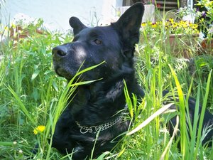 100_3856.JPG 100_3856.JPG