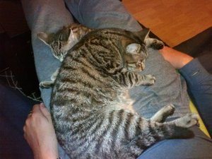 Haufen.jpg Haufen.jpg