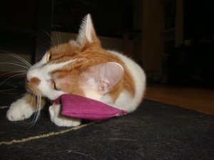 Spielen.jpg Spielen.jpg