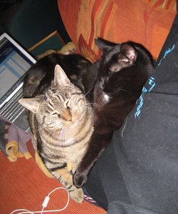 3964346561363163.jpg 3964346561363163.jpg