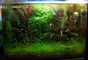 101_4898.JPG 101_4898.JPG