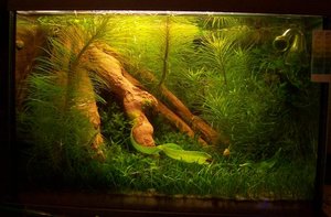 101_4901.JPG 101_4901.JPG