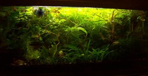 101_4899.JPG 101_4899.JPG