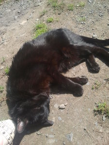 2012-08-10 14.03.56.jpg 2012-08-10 14.03.56.jpg