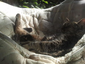 2012-10-22 14.45.56.jpg 2012-10-22 14.45.56.jpg