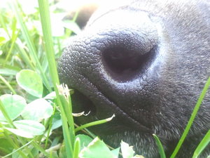 2012-08-18 18.31.42.jpg