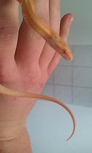 IMAG01408dbc7.jpg IMAG01408dbc7.jpg