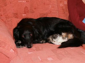 13535021297321.jpg 13535021297321.jpg