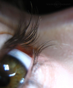 Wimpern.jpg