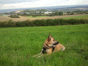 2012-09-19 17.51.33.jpg