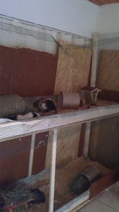 16112012428.jpg 16112012428.jpg