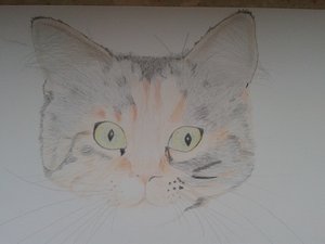 2012-11-18 12.59.27.jpg