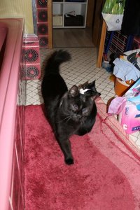 13535020851060.jpg 13535020851060.jpg