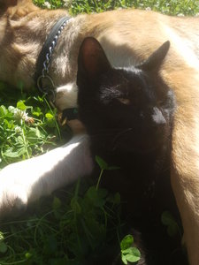 2012-07-24 16.41.21.jpg 2012-07-24 16.41.21.jpg