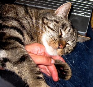 6631396332643138.jpg 6631396332643138.jpg