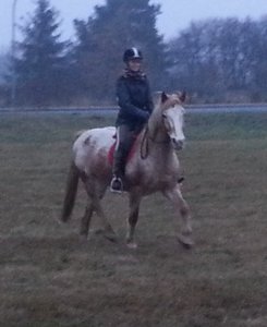 20121124_160338.jpg 20121124_160338.jpg