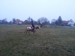 20121124_160341.jpg 20121124_160341.jpg