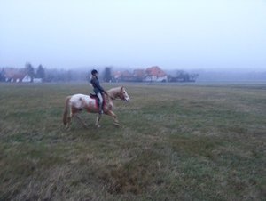 20121124_160350.jpg 20121124_160350.jpg