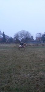 20121124_160421 (1).jpg 20121124_160421 (1).jpg