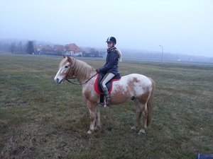 20121124_160226.jpg 20121124_160226.jpg