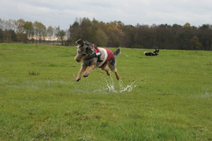 ogqcn8rm.jpg ogqcn8rm.jpg