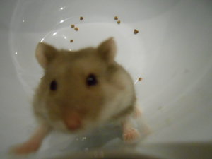 DSCN0229.JPG DSCN0229.JPG