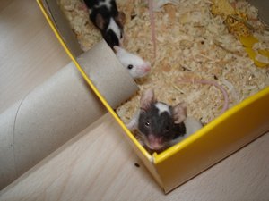 DSC07328.JPG DSC07328.JPG