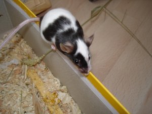 DSC07342.JPG DSC07342.JPG