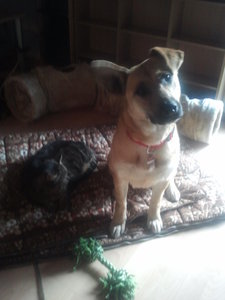 2012-04-07 18.39.46.jpg