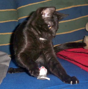 100_6077.JPG 100_6077.JPG