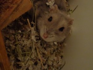 Bild 3.jpg Bild 3.jpg