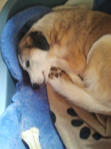 2012-03-08 15.56.58.jpg