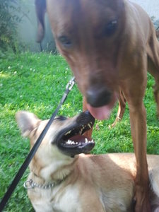 2012-07-24 17.51.30.jpg