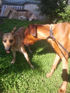 2012-07-24 17.40.22.jpg