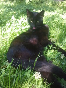 2012-07-24 16.47.39.jpg