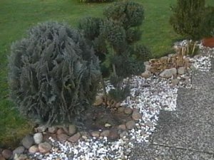 03.12.2012 09_20_0001.jpg 03.12.2012 09_20_0001.jpg