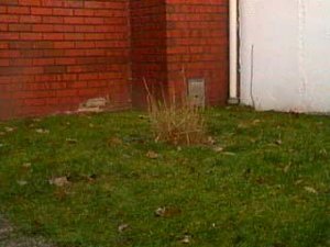 03.12.2012 09_11_0002.jpg 03.12.2012 09_11_0002.jpg