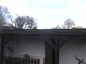 04.12.2012 10_46_0001.jpg 04.12.2012 10_46_0001.jpg