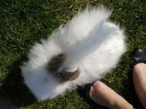 2012-05-22 16.30.18.jpg