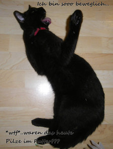 IMGP4611o.JPG IMGP4611o.JPG