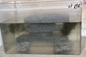 IMG_7970bkc.JPG IMG_7970bkc.JPG