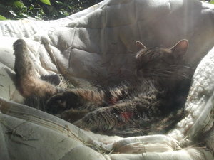 2012-10-22 14.46.05.jpg 2012-10-22 14.46.05.jpg