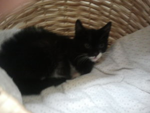 2012-09-30 15.11.29.jpg 2012-09-30 15.11.29.jpg