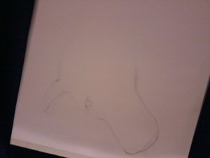 2012-12-12 19.33.27.jpg