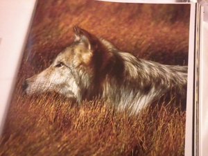 2012-12-12 20.35.40.jpg