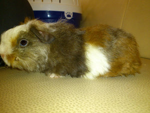 DSC_1041.JPG DSC_1041.JPG