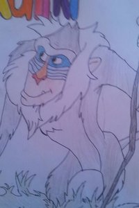 Rafiki.jpg